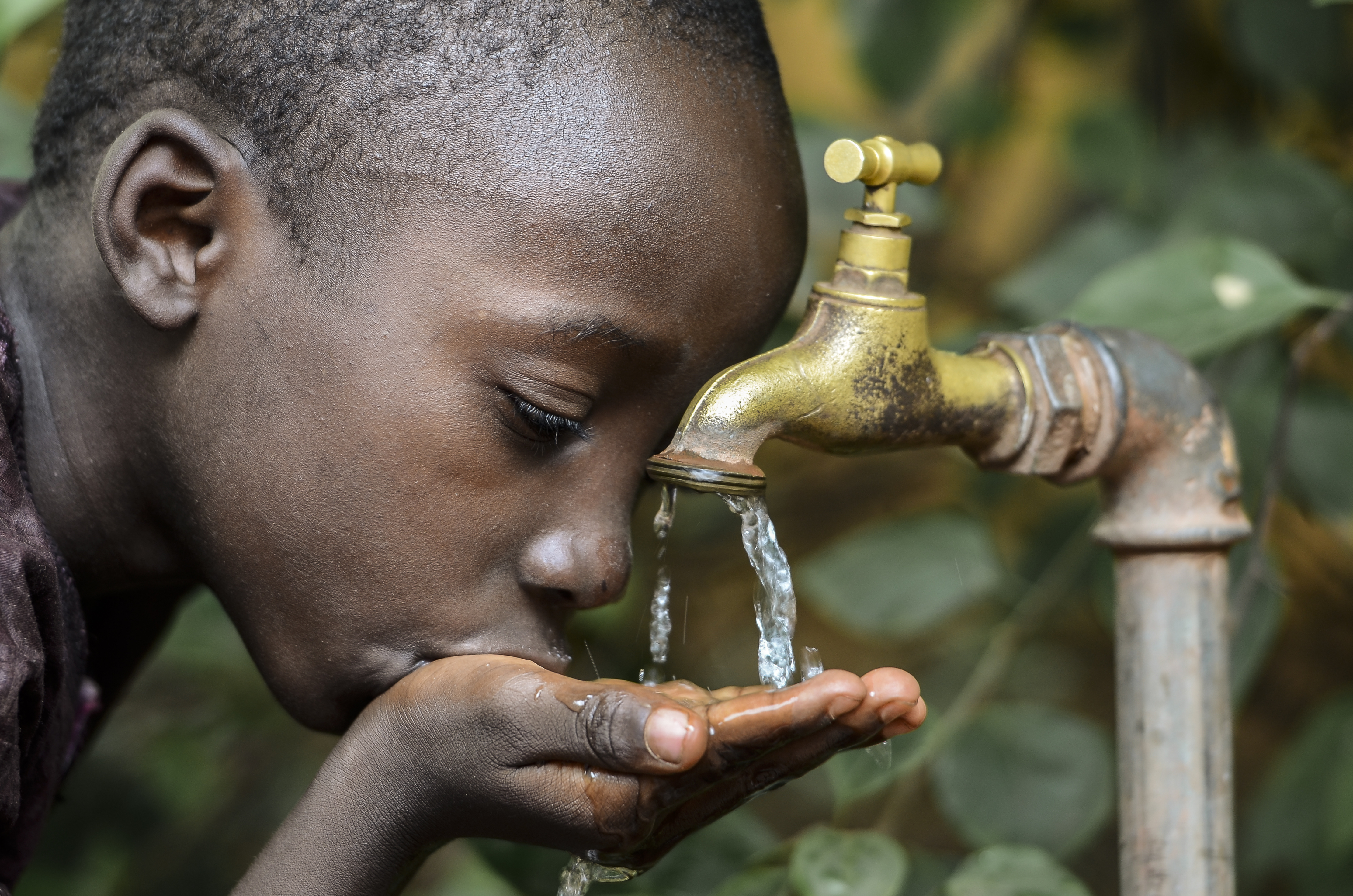 Does Drinking Water Make You Lose Weight?