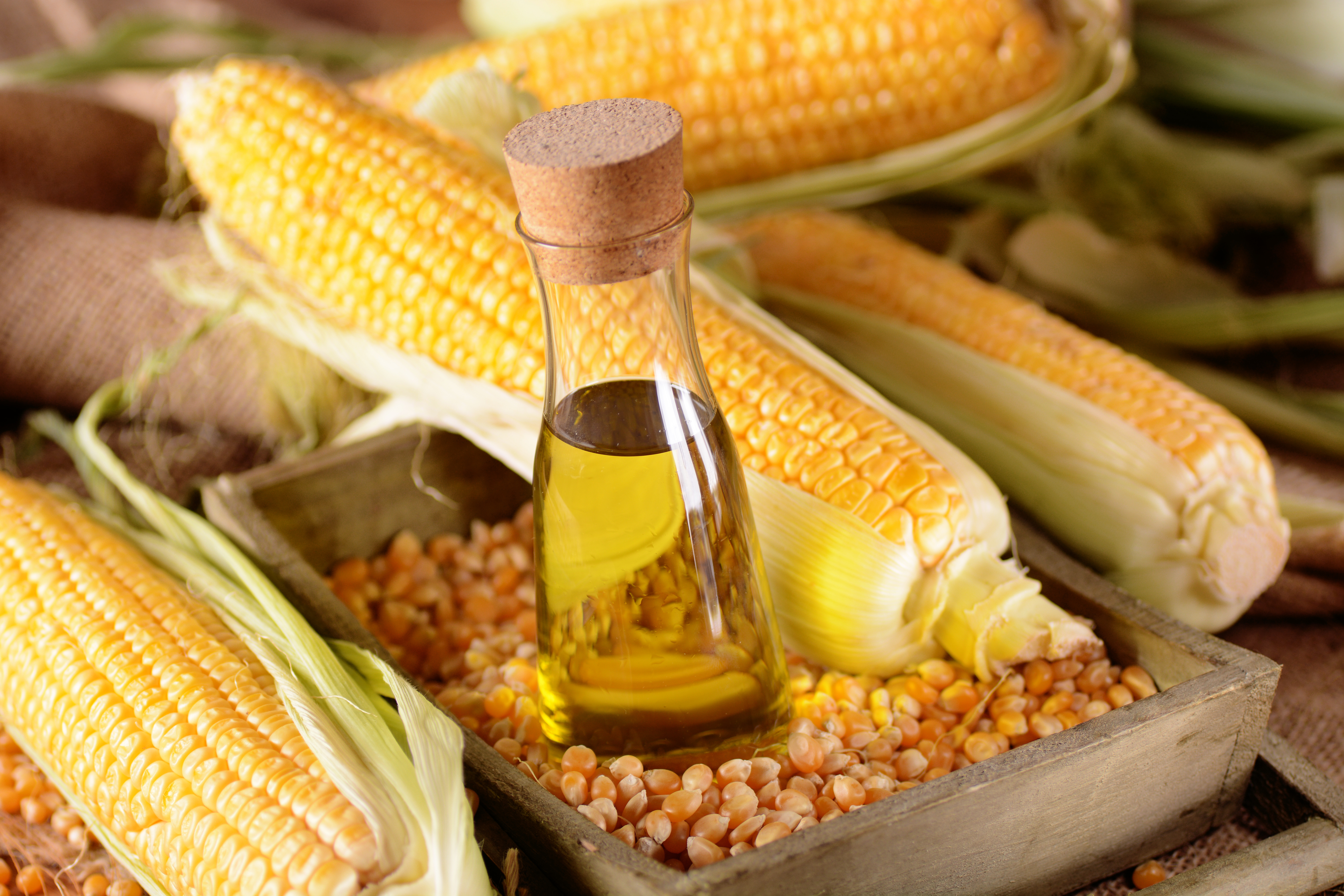 Is Corn Oil Healthy: The Pros and Cons of Corn Oil