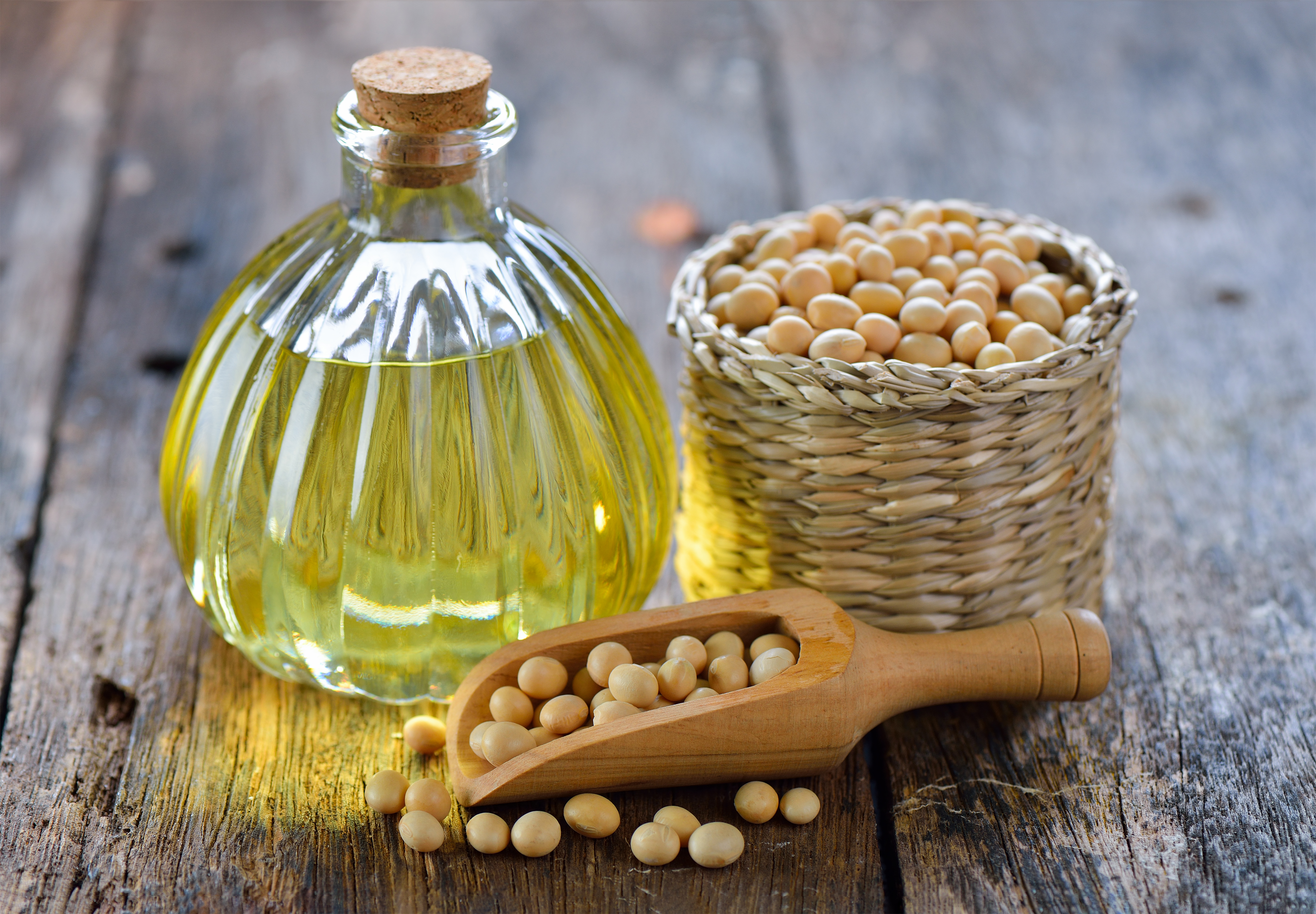 soy beans and oil