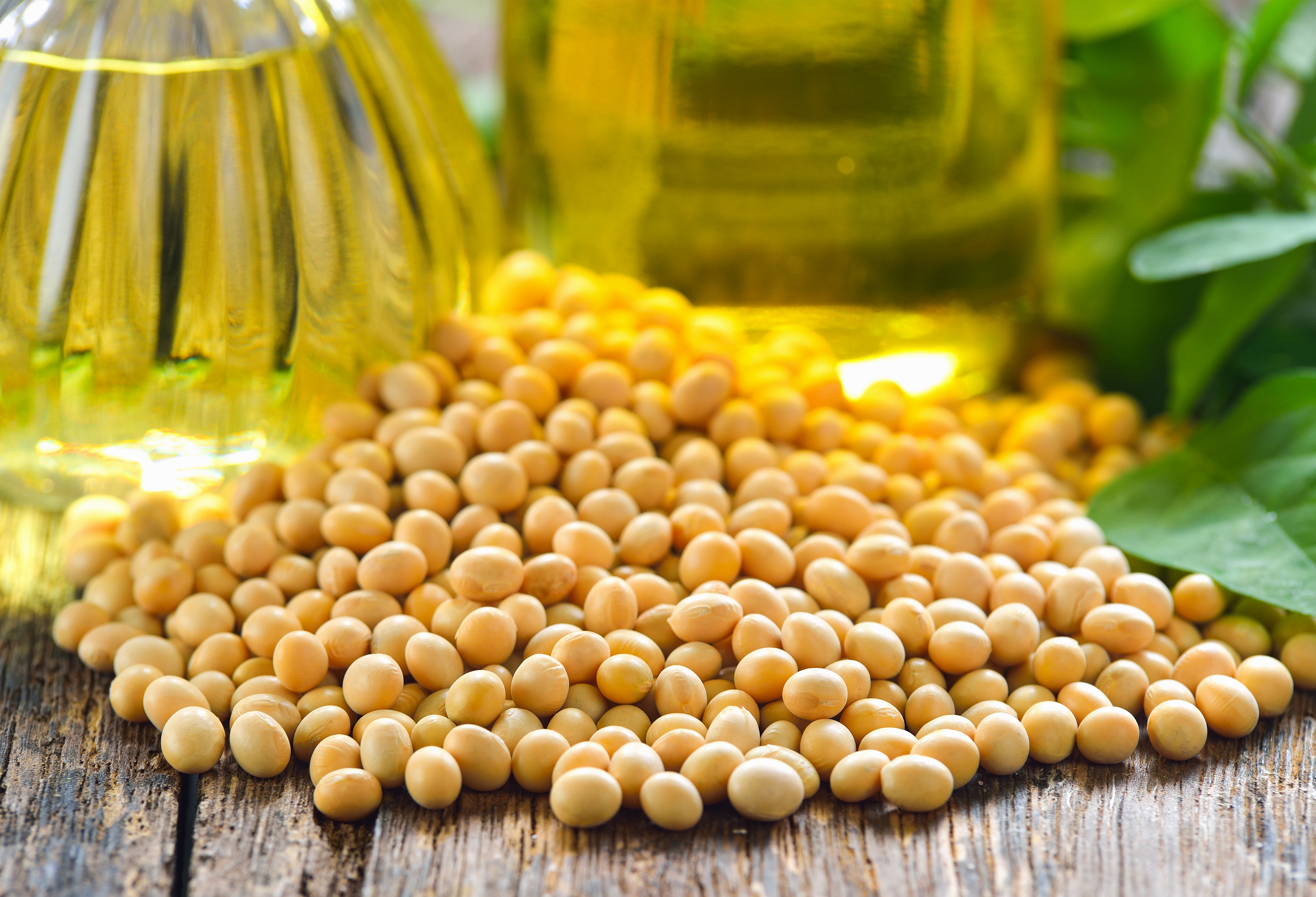 Is Soybean Oil Bad For You?