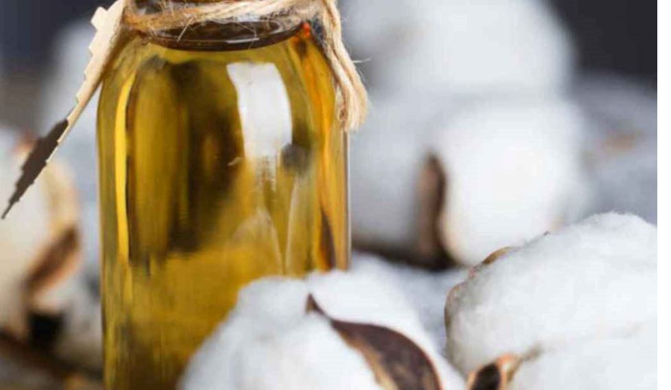 Is Cottonseed Oil Healthy?
