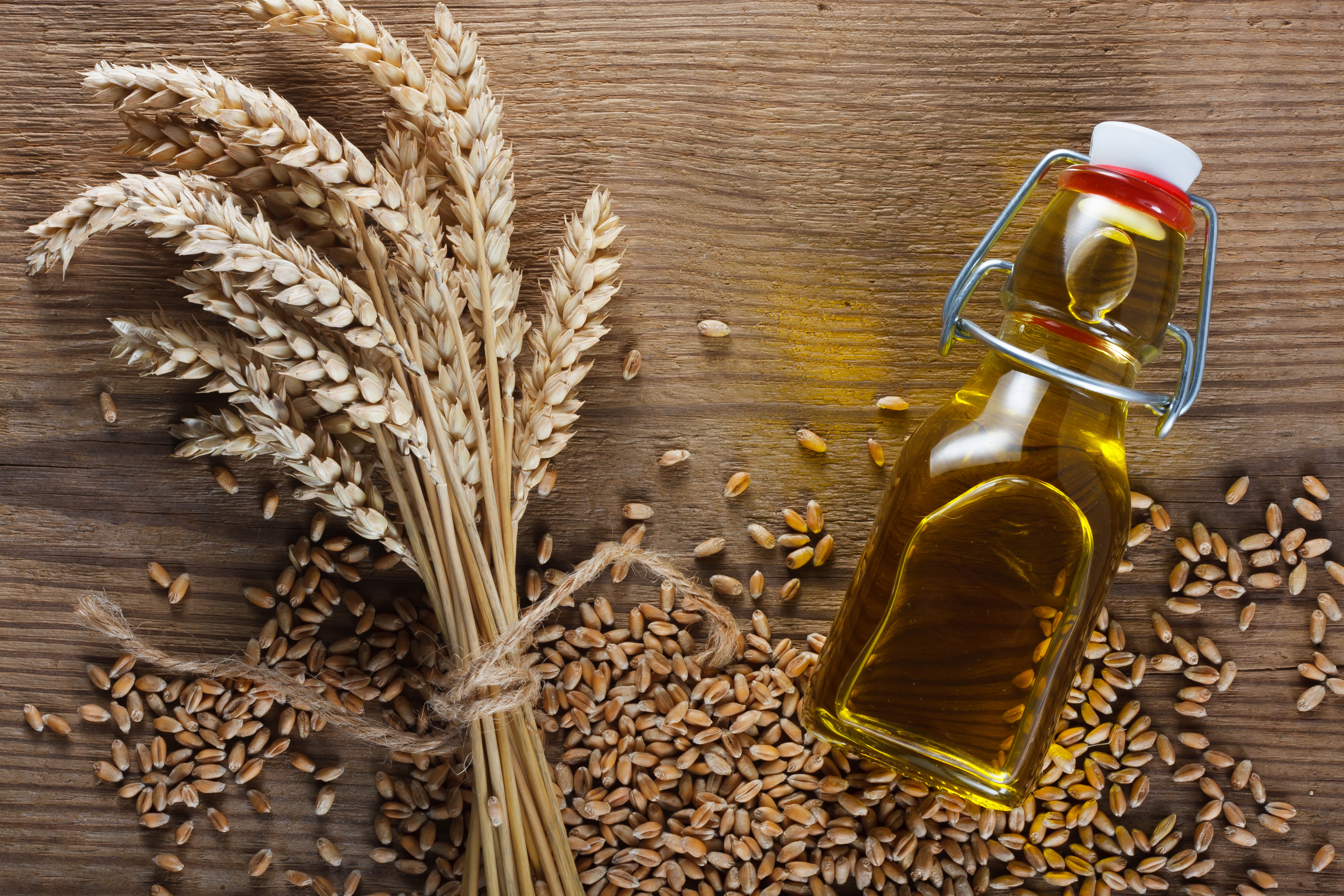 Is Wheat Germ Oil Healthy?
